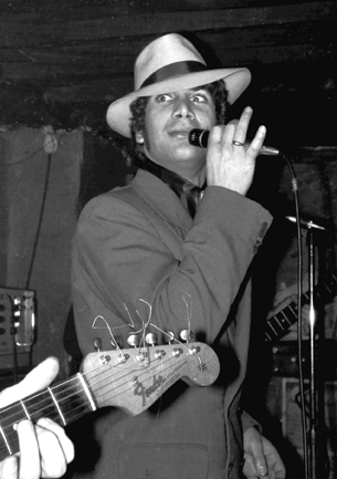 st louis checks indigo vat